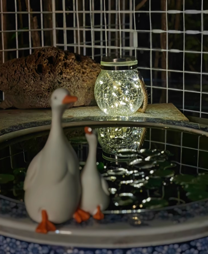 Средба со поетска ноќ! Амбиент Мала светлина осветлува микро романтичен агол